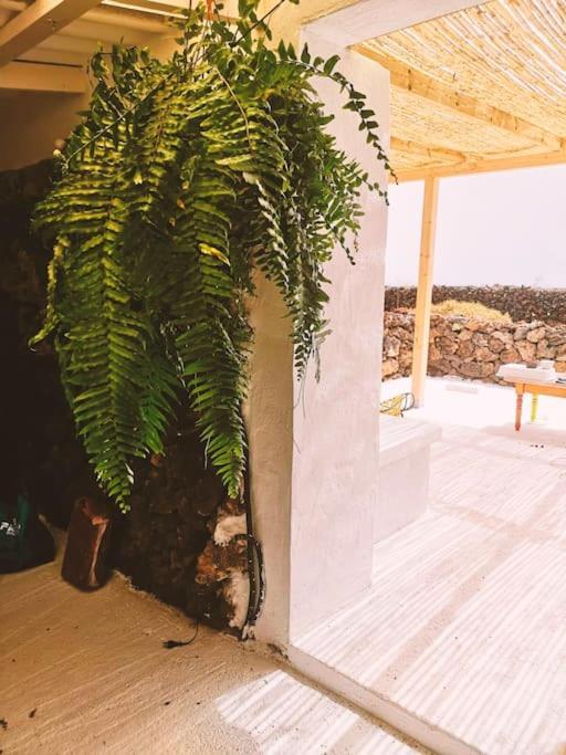 Estudio Con Bano Privado Orzola Buitenkant foto